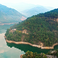  精于茶，良心茶遵循傳統制茶工藝