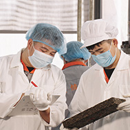  精于茶，良心茶遵循傳統制茶工藝