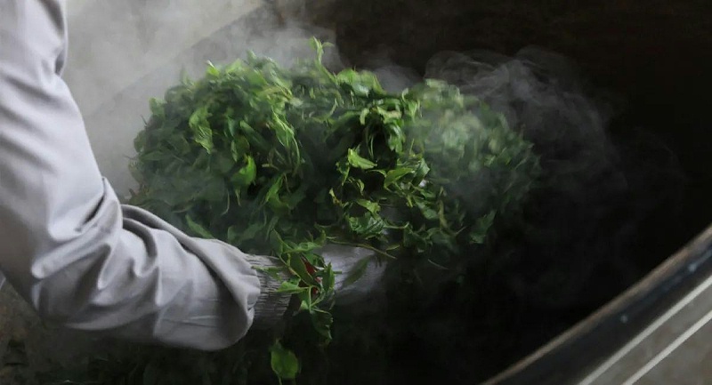 普洱茶殺青新工藝