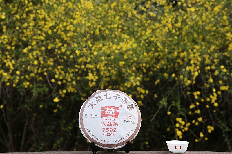 大益茶的現(xiàn)狀