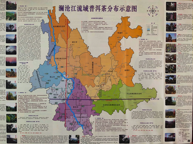 普洱茶地圖