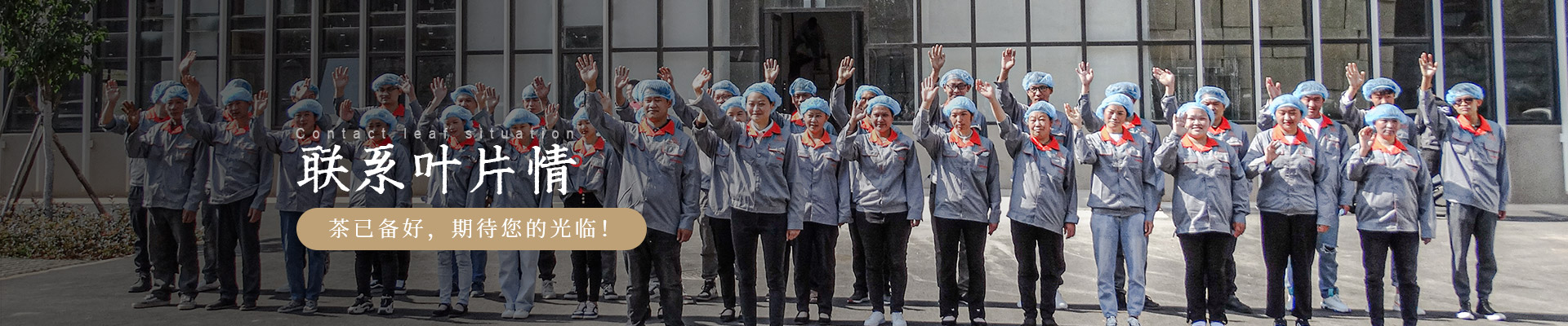云南葉片情：茶已備好，期待您的光臨!