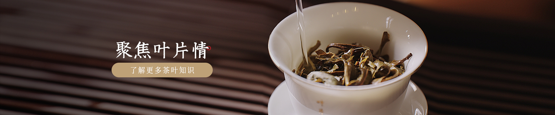 葉片情：聚焦葉片情，了解更多茶葉知識